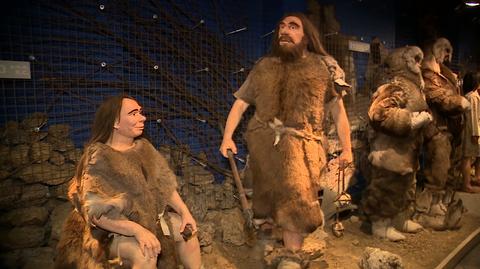 Miał 5-7 lat i żył 115 tysięcy lat temu. Kości neandertalskiego dziecka odkryte w Małopolsce