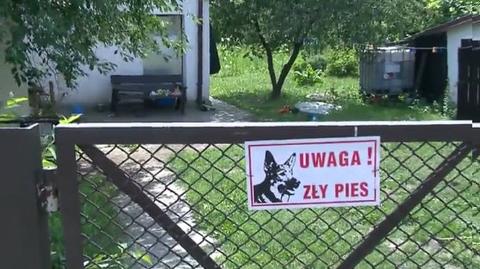 29.06.2018 | Atak amstaffa. Dzieci walczą o życie, prokuratura wszczyna śledztwo