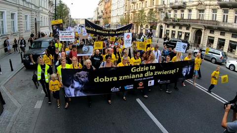 13.09.2018 | Obrońcy praw zwierząt protestują. Mówią, że zwyciężyło lobby futrzarskie