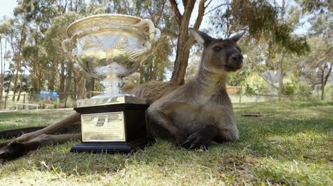 Rozpoczyna się Australian Open. "W Wielkim Szlemie wszyscy walczą do końca"