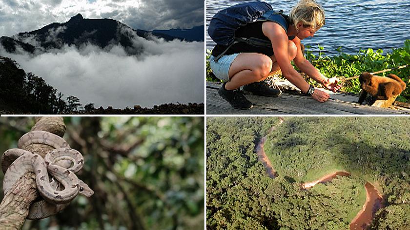 Polscy naukowcy chcą kupić kawałek kolumbijskiej dżungli. Trwa zbiórka