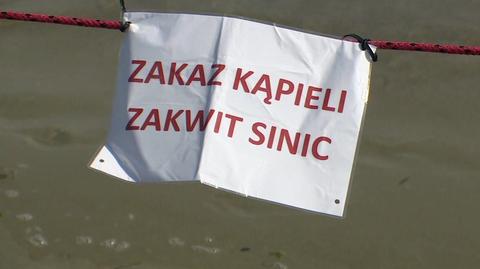 Kiedy żar leje się z nieba, trudno wysiedzieć na plaży. Przez sinice nie wszędzie można się kąpać