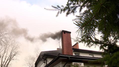 20.01.2018 | Minister "być może" zakaże palenia w kominkach. "Bardzo głupi pomysł"