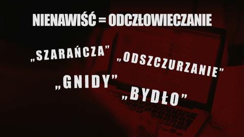 19.01.2019 | Kiedy kończy się krytyka, a zaczyna mowa nienawiści