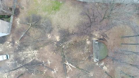 Na działce wycięto 13 drzew. Nawet 2 miliony kary