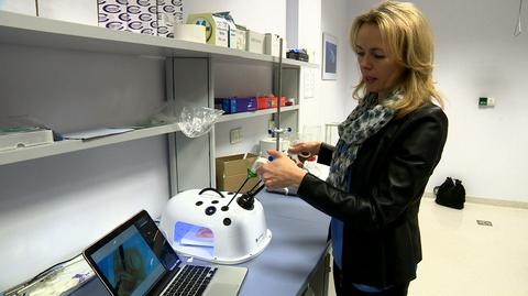 Naukowcy ze Szczecina pracują nad nową metodą leczenia przepukliny