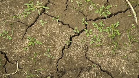 Hydrolodzy nie mają złudzeń - w Polsce trwa susza hydrologiczna. Gminy apelują o to, by oszczędzać wodę