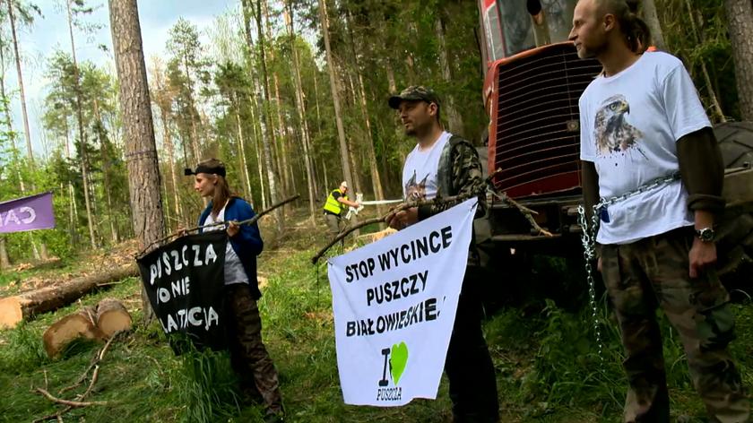 Ekolodzy wyszli na "spacer wolności". Nie zgadzają się na zakaz wstępu do Puszczy