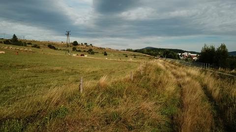 Susza w Polsce. Specjalne komisje liczą straty w uprawach