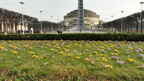 Luty 2024 roku był wyjątkowo wiosenny. "Zapowiada nam się bardzo ciepły kolejny rok"