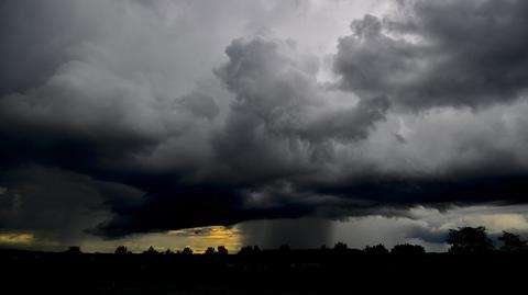 19.06.2020 | "Sprawa klimatu jest sprawą zagrożenia egzystencjalnego całego państwa"