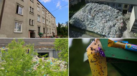 Miała być sortownia śmieci, jest dzikie wysypisko. "Muchy do ust wchodzą"