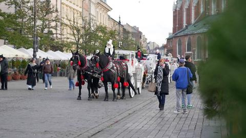 Rynek Główny w Krakowie bez dorożek? Aktywiści domagają się konsultacji społecznych