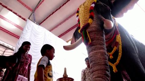 Rewolucja w hinduskiej świątyni. Robot zastąpił żywe słonie