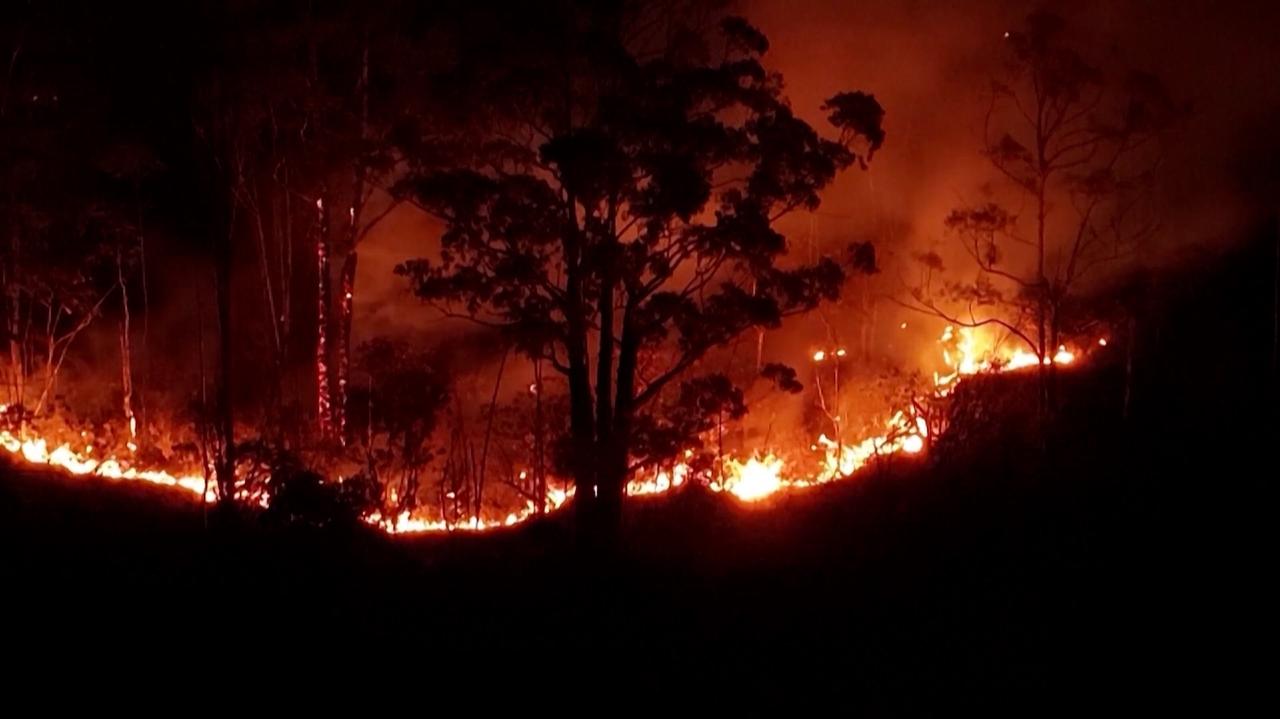 Lasy znikają w tempie 18 boisk piłkarskich na minutę. "Czerwony alert dla świata"