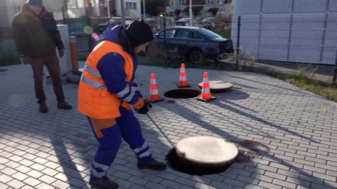 Gdańskie Wodociągi apelują: kanalizacja to nie śmietnik