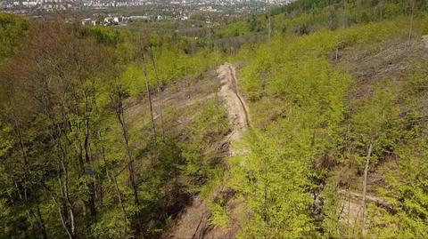 Mieszkańcy Bielska-Białej uważają, że wycinanie lasów przyczyniło się do skali powodzi, która ich nawiedziła