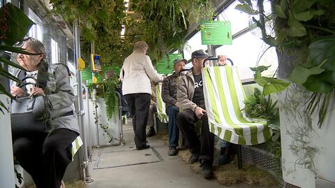 20.10.2018 | Zielony tramwaj kursuje w Będzinie i Sosnowcu. Są w nim rośliny