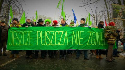 14.03.2017 | Sąd odrzucił skargę. Kolejna odsłona walki o Puszczę Białowieską w Brukseli?