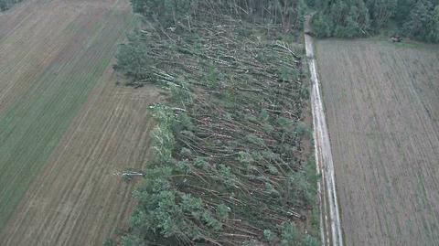 25.08.2018 | Po upale wichury i grad. Gwałtowne zjawiska pogodowe nad Polską