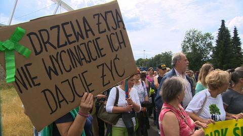 14.07.2019 | Deweloper chce wycięcia ponad 1300 drzew. "To nie jest szkoda ekologiczna"