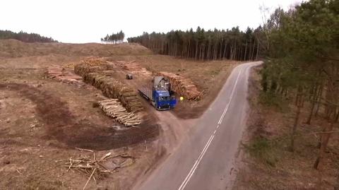 Przekop Mierzei Wiślanej. Co najmniej 20 firm zainteresowanych inwestycją