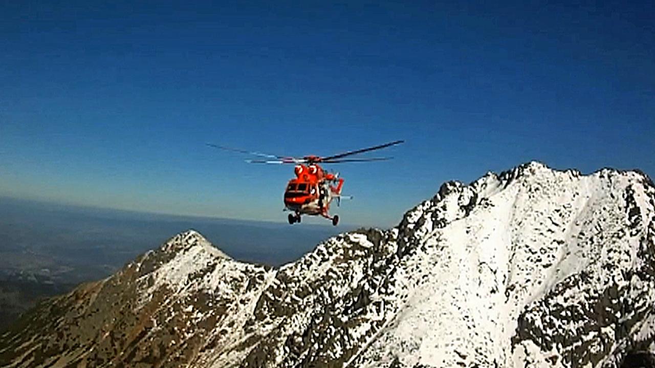 Sokół wraca w Tatry. Przegląd trwał miesiąc