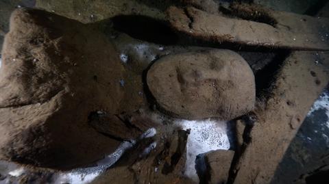 31.10.2022 | Na Bałtyku odkryto wrak żaglowca z wyjątkowo dobrze zachowanym galionem