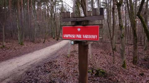 Ministerstwo Klimatu i Środowiska chce wprowadzić bilety wstępu do polskich parków narodowych