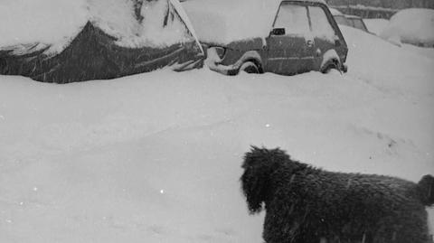 "Zamykano szkoły, bo nie było czym opalać". 40 lat od zimy stulecia