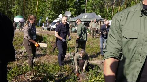 Najpierw wycinka, potem sadzenie. Dziwny przebieg szczytnej akcji z udziałem prezydenta