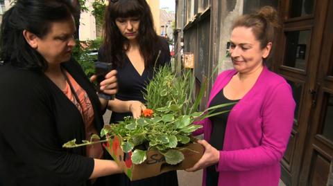 15.07.2020 | Zielony szał w Katowicach. "Było zdecydowanie więcej chętnych niż donic"