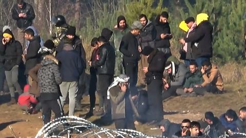 10.11.2021 | Trzy duże grupy migrantów próbowały przekroczyć granicę Polski. Straż Graniczna: wszyscy zostali zatrzymani