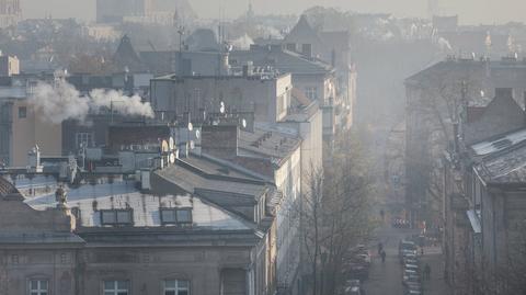22.01.2019 | Zanieczyszczone powietrze zabija. W smogu są związki, których działania nie znamy