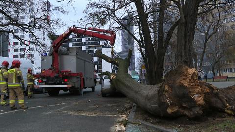 Powalone drzewa, odcięte drogi, tysiące odbiorców bez prądu. Skutki wichur w Polsce