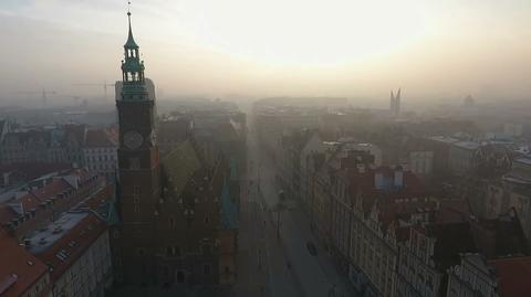 Miasta bez plastiku, miasta zieleni i "kranówa" dla radnych. Samorządy chcą walczyć o środowisko