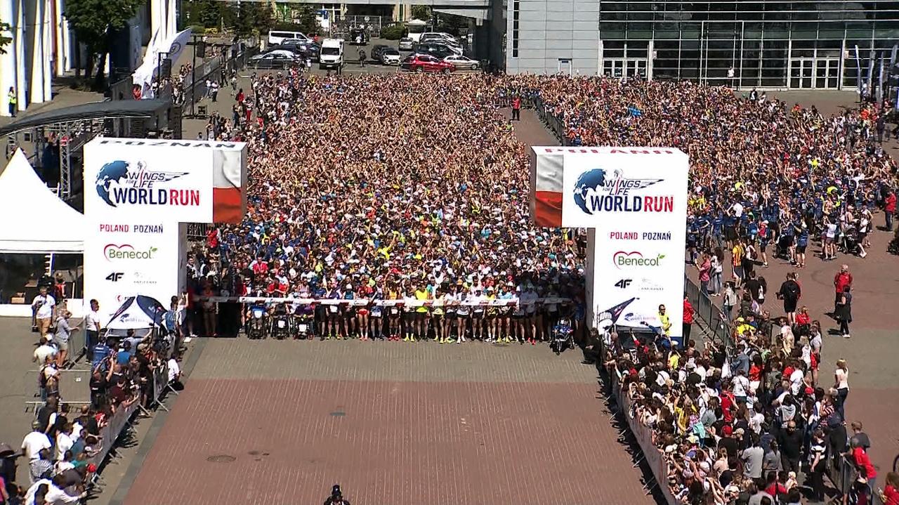 Wings for Life World Run. Ruszyły zapisy na bieg