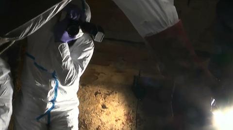 Szczątki kobiety zaginionej niemal 20 lat temu odkryto w piwnicy. O zabójstwo podejrzewany jest jej mąż