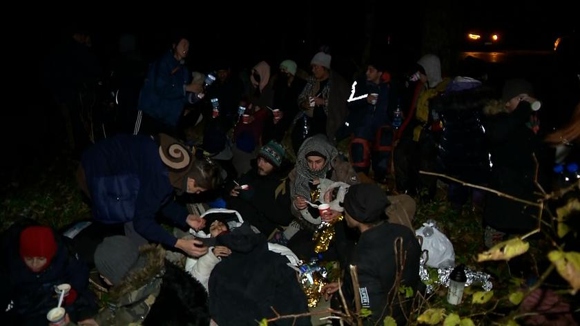 Aktywiści znaleźli grupę migrantów w okolicach Białowieży