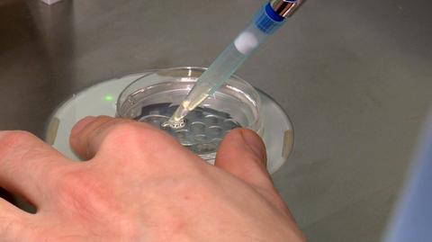 15 maja mija termin na zgłoszenia do rządowego programu refundacji in vitro