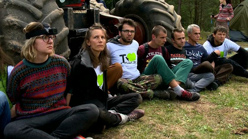 Aktywiści z Puszczy przed sądem. "Na tym miejscu powinien siedzieć minister i leśnicy"
