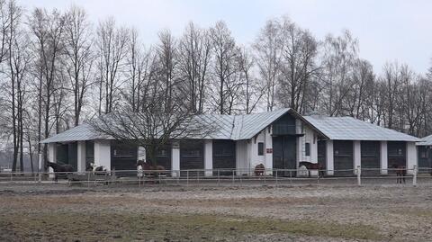 Stadninę w Janowie Podlaskim czekają zmiany? "Mam nadzieję, że przywrócimy jakość, jaka tam kiedyś była"