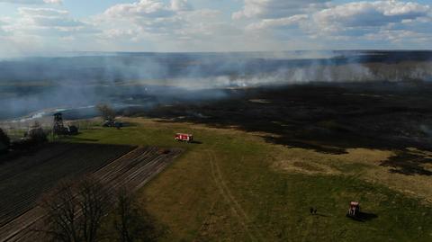 Pożar w Biebrzańskim Parku Narodowym wciąż nie jest pod kontrolą