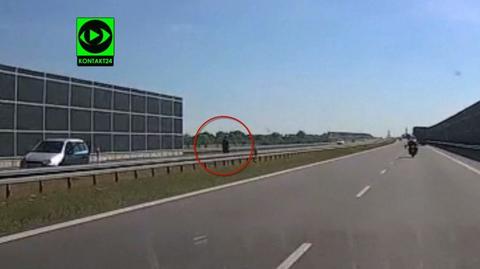 15.06.2016 | Policja szuka mężczyzny, który wyprowadzał psy na autostradzie A2