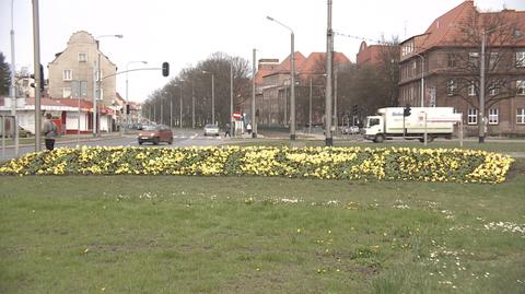 13.04.2018 | Rabatki niezgody w Gdańsku. "Barwy napisu nie spodobały się kibicom"