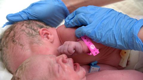 12.08.2022 | Podręcznik do HiT-u przekonuje, że dzieci poczęte metodą in vitro się niewarte miłości