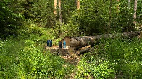 22.07.2016 | Puszcza Białowieska usunięta z Listy Światowego Dziedzictwa UNESCO? Decyzja w lutym