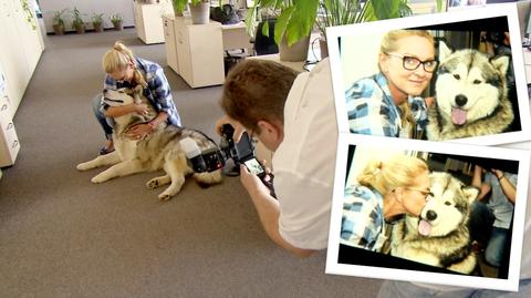 Pies Lupus, czyli maskotka „Faktów” TVN, gwiazdą magazynu dla miłośników zwierząt