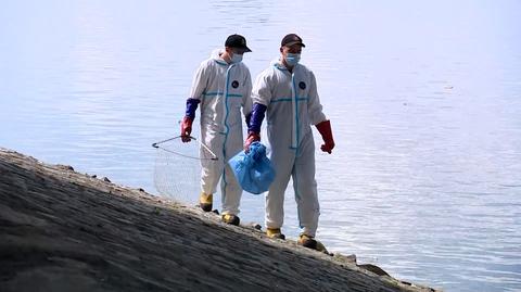 15.08.2022 | Minister Moskwa: wciąż nie zidentyfikowano, co zatruło wodę w Odrze
