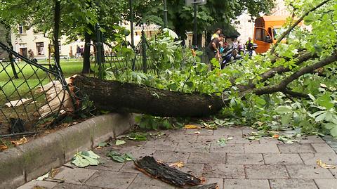 23.06.2017 | Kraków po przejściu nawałnicy. Strażacy wzywani ponad 150 razy